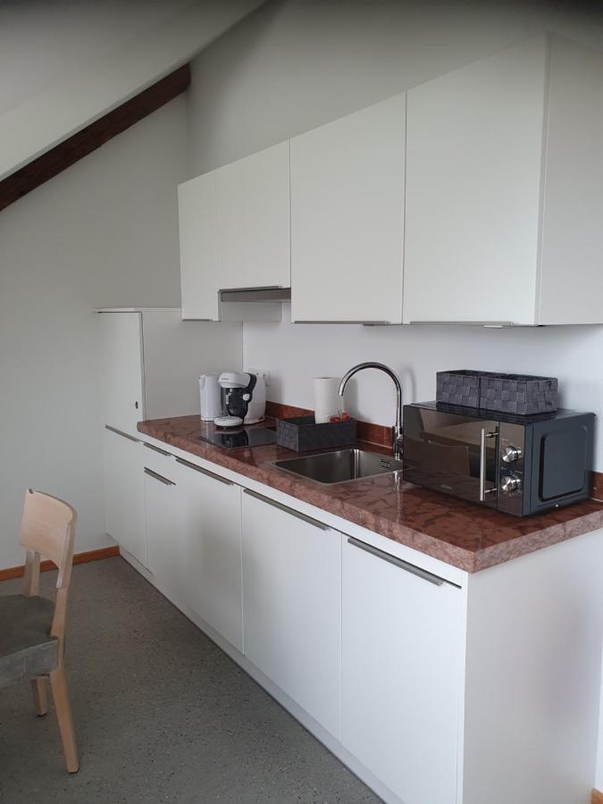 Appartamento Gutshof Seenland Seekirchen am Wallersee Esterno foto