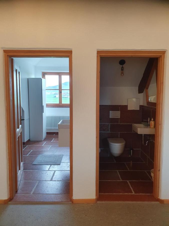 Appartamento Gutshof Seenland Seekirchen am Wallersee Esterno foto