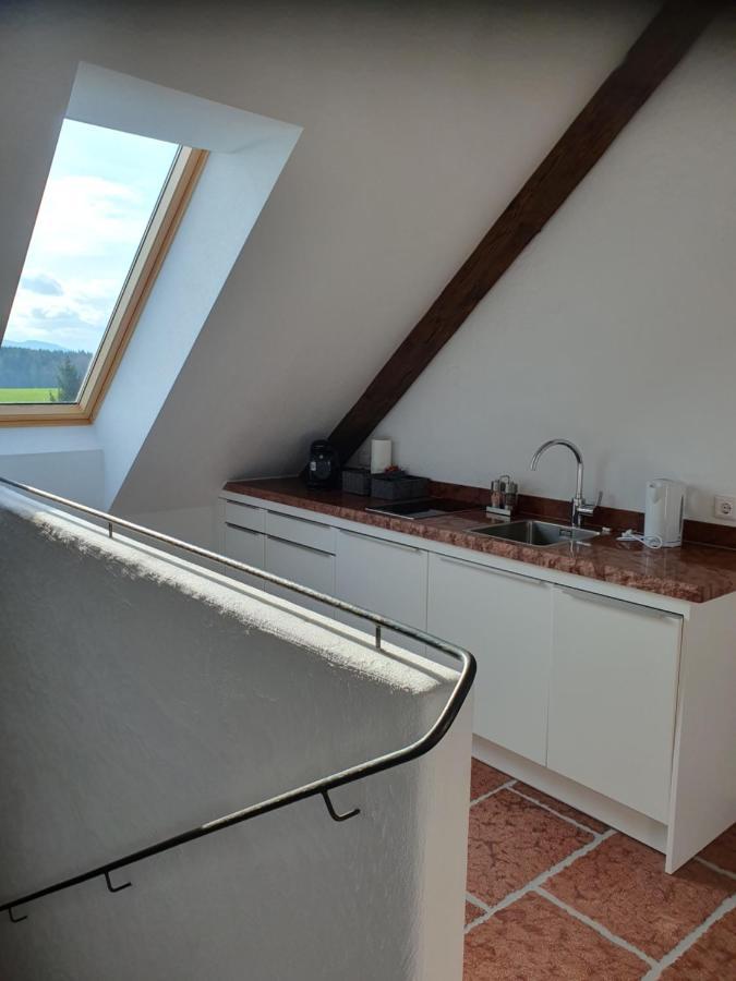 Appartamento Gutshof Seenland Seekirchen am Wallersee Esterno foto
